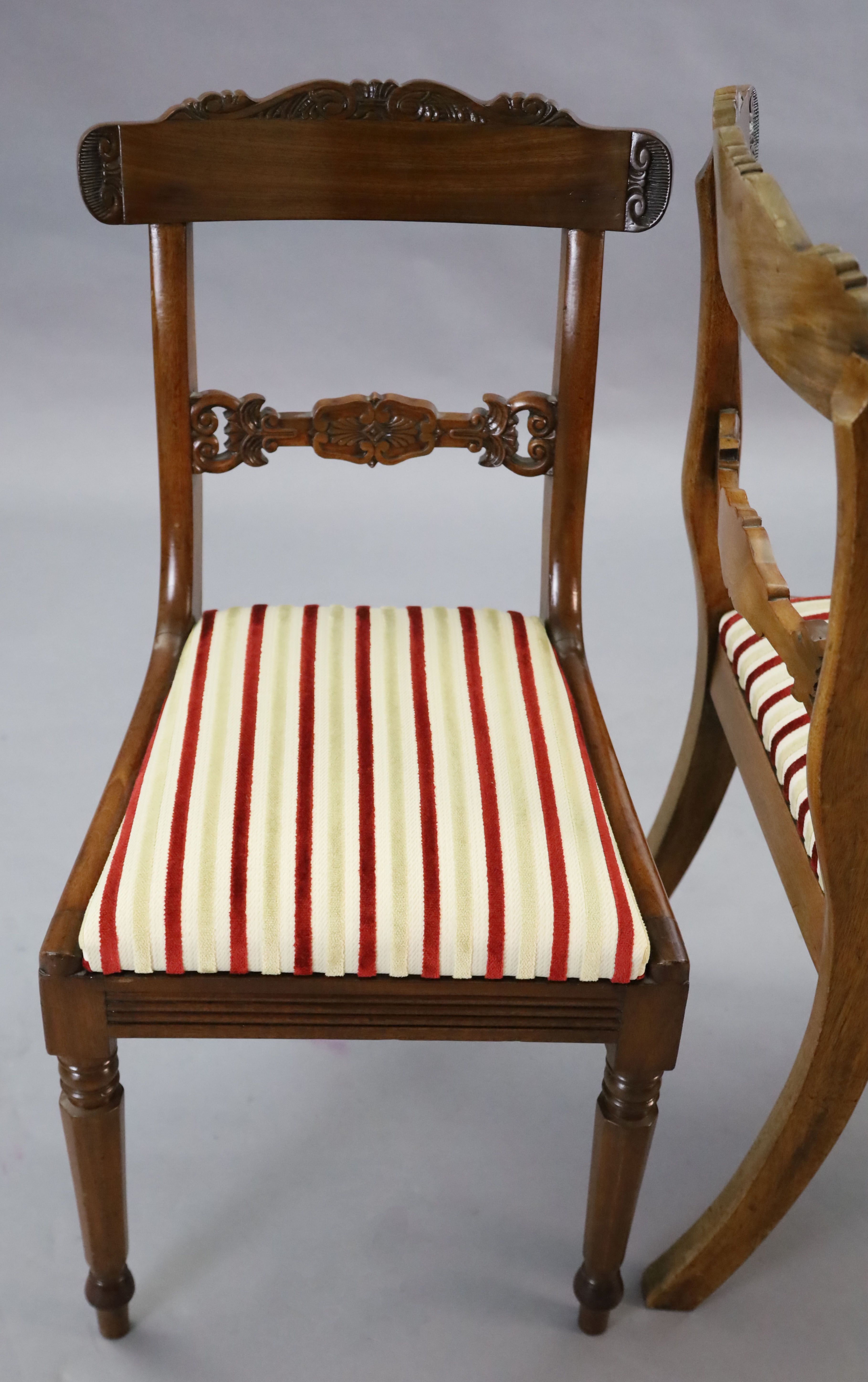 A set of ten William IV mahogany dining chairs including two carvers, carvers W.1ft 8in. H.2ft 11.5in.